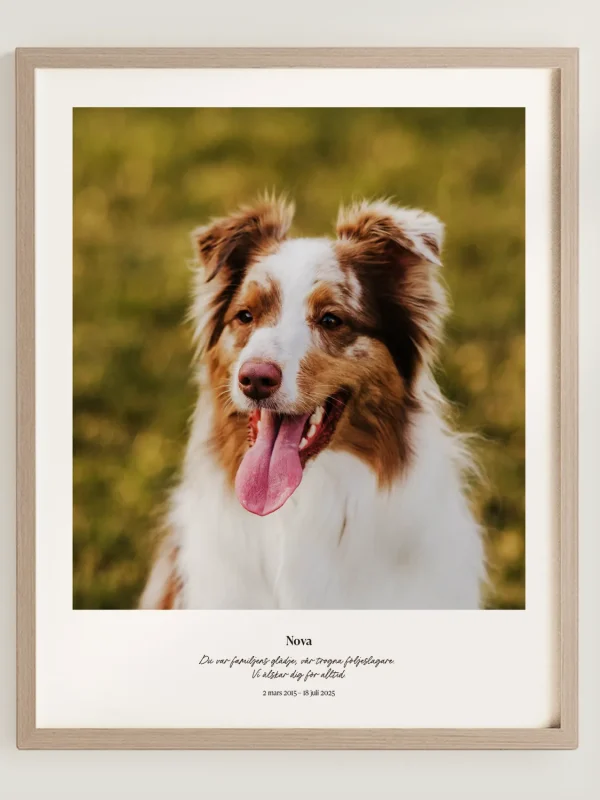Minnestavla för avliden hund