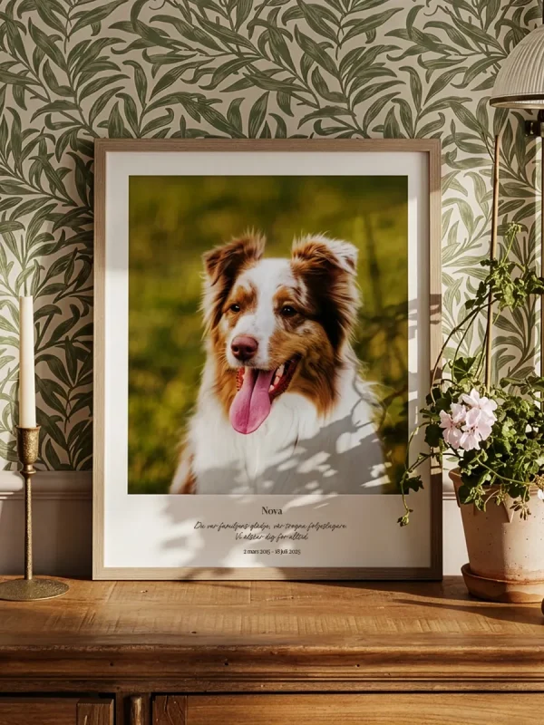 Till minne av död hund