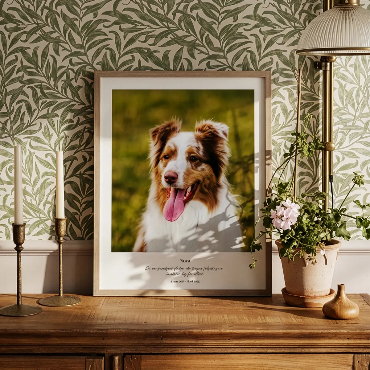 Till minne av död hund