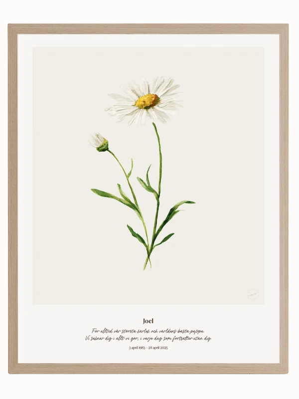 Minnesblomma april – minnestavla med tusensköna