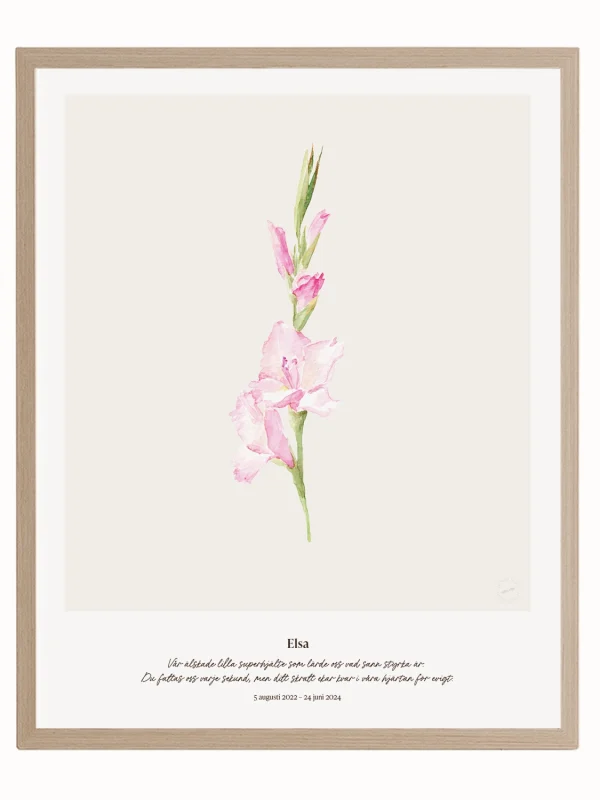 Minnesblomma augusti – minnestavla med gladiolus