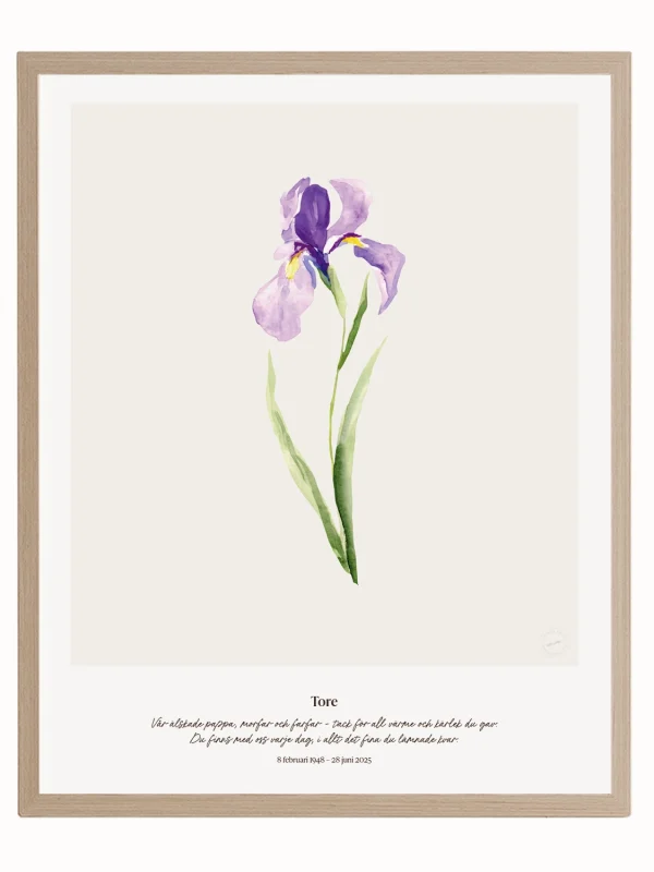 Minnesblomma februari – minnestavla med iris