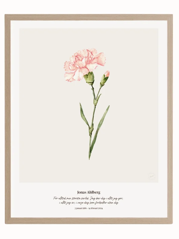 Minnesblomma januari – minnestavla med nejlika