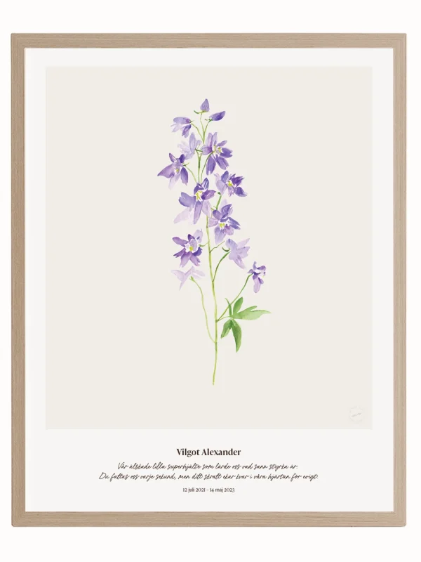 Minnesblomma juli – minnestavla med riddarsporre