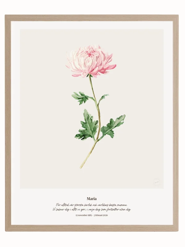 Minnesblomma november – minnestavla med krysantemum